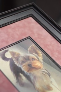 Портрет собаки оформленный в раму с паспарту